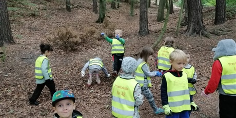 Powiększ grafikę: Grupa 5-latków sprząta las